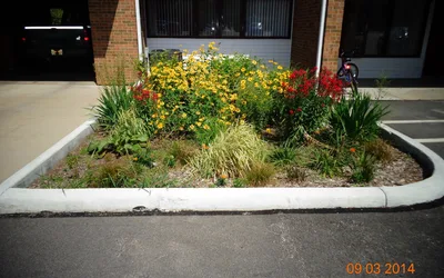 Master Rain Gardener Courses