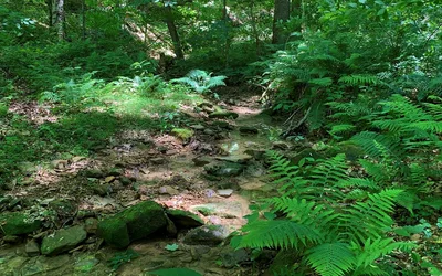 Ohio State Parks Week