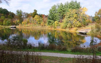 On the Wing…Nature That Takes Flight