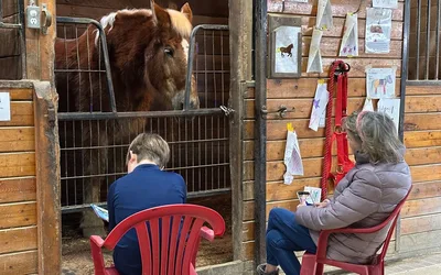 Read with the Horses
