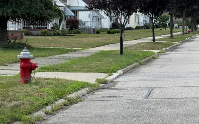 Senior Grass Cutting Program