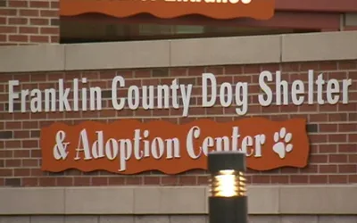 Spring Sleepover Weekend