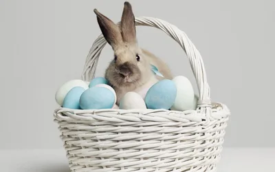 Stan Hywet's Annual Easter Egg Hunt