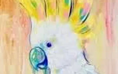 Colorful Cockatoo
