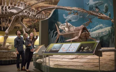 Curiousiday Giveaway: Limited Run T-Shirt