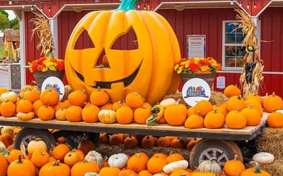 Fall Festival