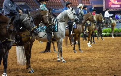 Oklahoma Quarter Horse Association Redbud Spectacular