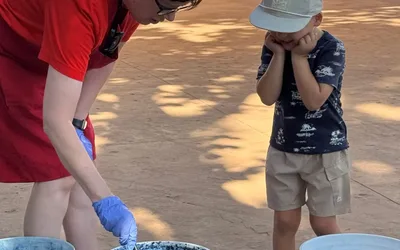 Kids Take Over the Cowboy