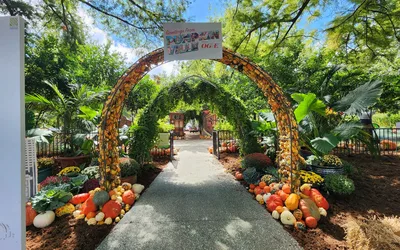 Pumpkinville: Road to Route 66