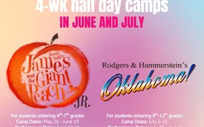 SummerStage Auditions