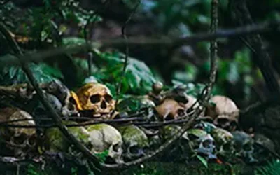Haunted Hikes: Nightmares at