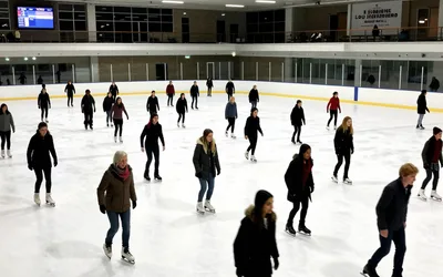 P.A. Day Public Skate