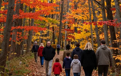 Self-Guided Fall Foliage and Autumn