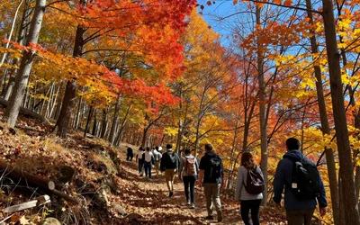 Fall Foliage and Autumn Wonders Walk