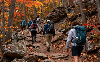 Fall Foliage Hike