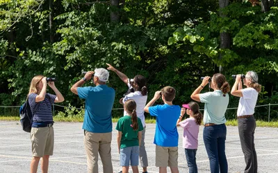 Introductory Bird Walk