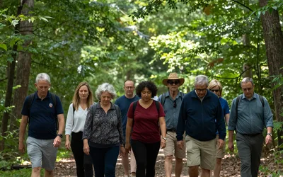 Mindful Forest Immersion