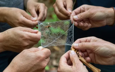 Old-Fashioned Skills: Cobweb Broom