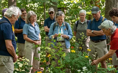 The Nature of Folk Healing in PA