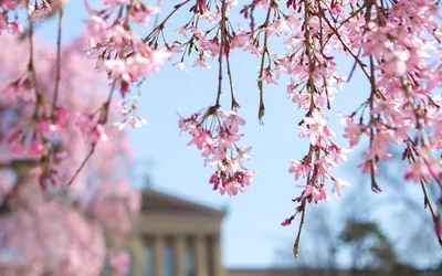 Pay-what-you-wish Friday nights