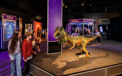Universal Theme Parks: The Exhibition