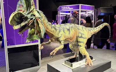 Universal Theme Parks: The Exhibition