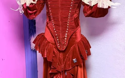 Lady Gaga: The Mayhem Ball Tour