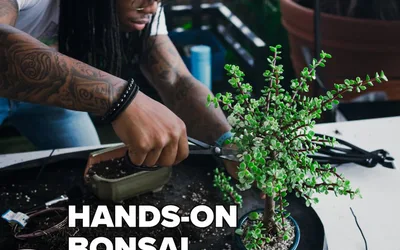 Bonsai Workshop