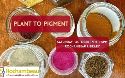 Plant to Pigment