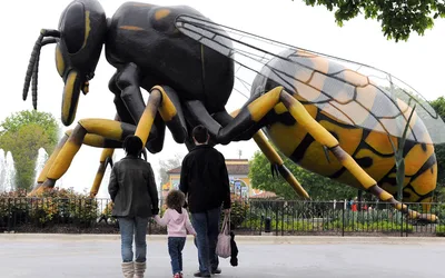 A Bug’s World at Roger Williams Park Zoo