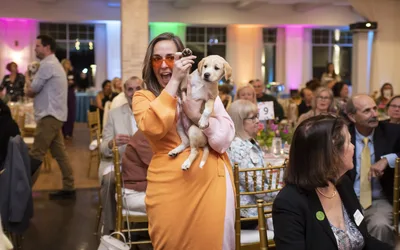 Bark & Boogie gala
