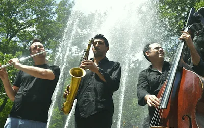 Toomai String Quintet Performance