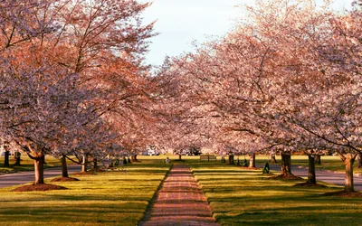 Dominion Energy’s Riverrock festival