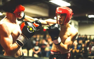 Apex Combat Kickboxing Championship