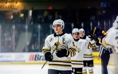 Brandon Wheat Kings vs Saskatoon Blades