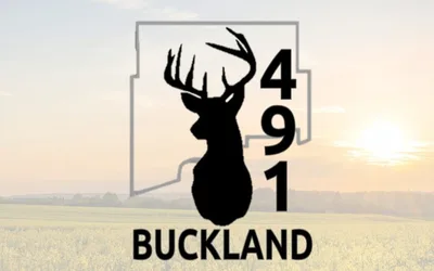 Buckland Reeve By-Election Vote