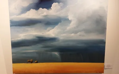 'Head in the Clouds' exhibit showcases Saskatchewan skies