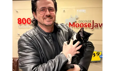 Howlin’ for a Cause with The Stray Dogs