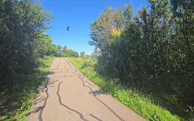 Kindersley Trail Bird Walk
