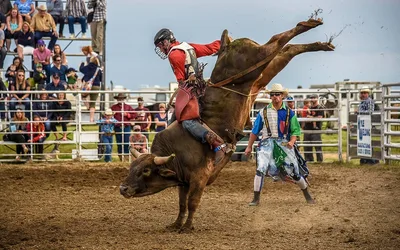 Kyle Community Rodeo