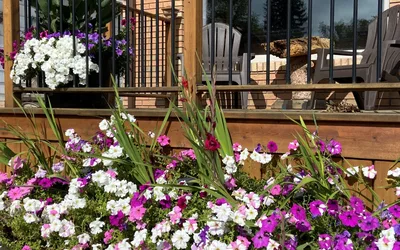 Murals on Main Street Unveiling