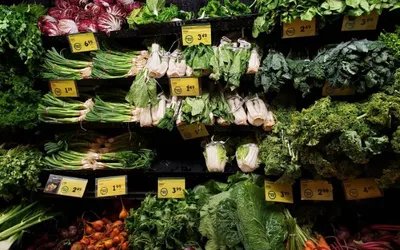 Introduction to Fermenting