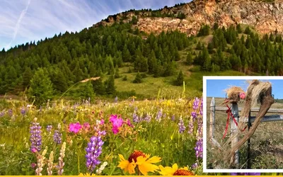 Native Prairie Speaker Series