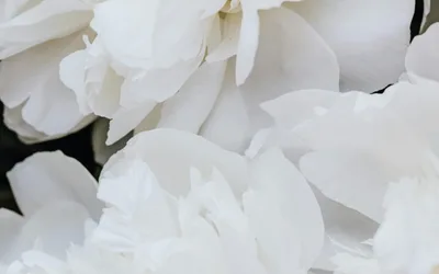 Prayers for Brent Perepeluk