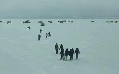 Shuffleboard Monthly Tournament