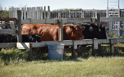 SSGA Semi-Annual General Meeting