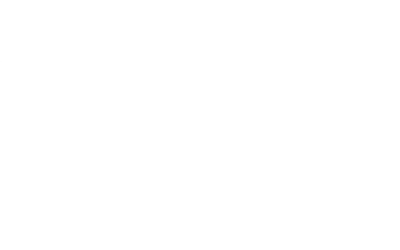 The Equine Experience