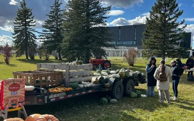 Weyburn Cooperative Pumpkin Patch