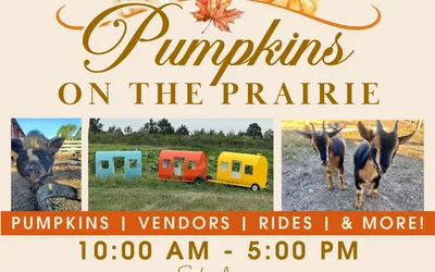 Pumpkins on the Prairie