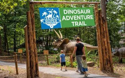 Afternoon Explorations